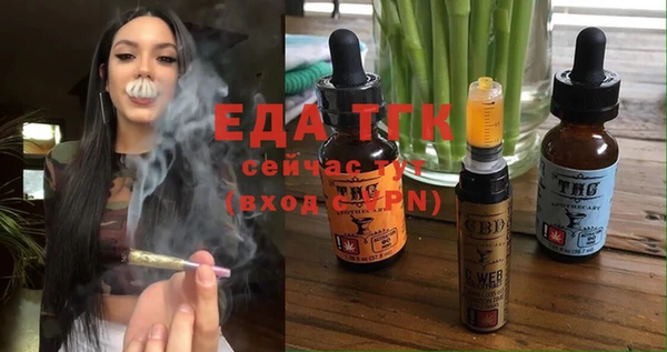 молекула духа Ельня